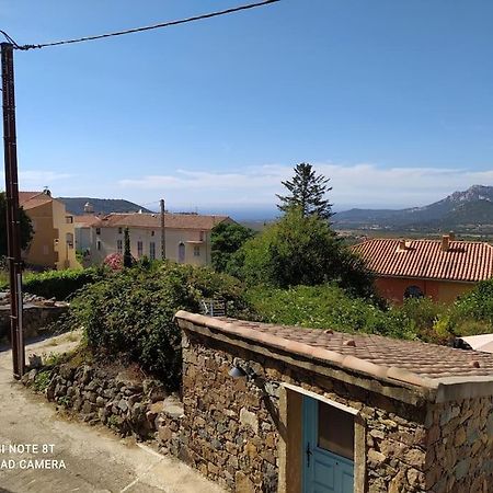 Duplex Avec Jardin, Proche Village Calenzana Exteriér fotografie