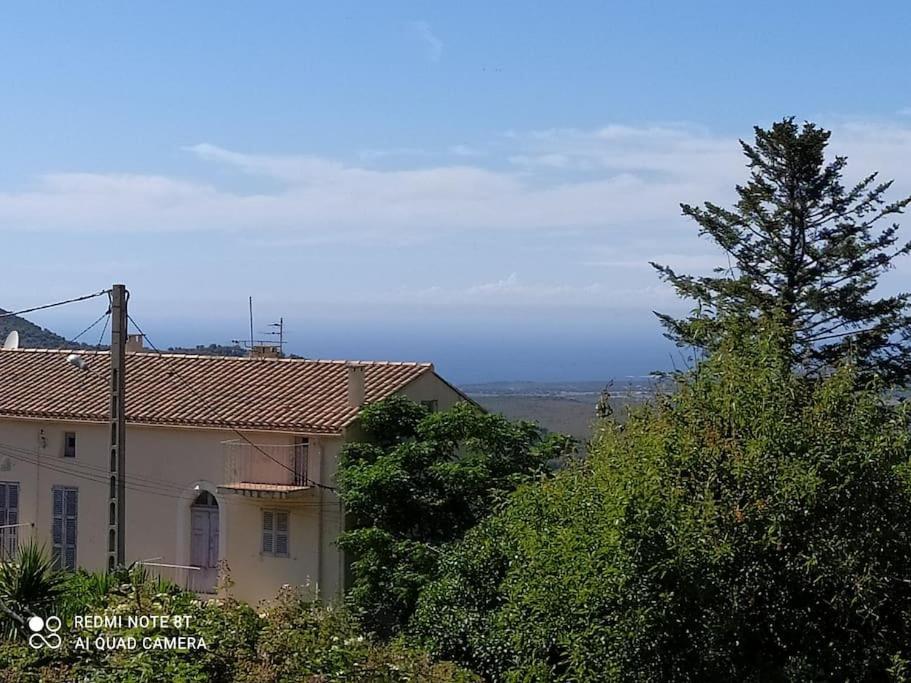 Duplex Avec Jardin, Proche Village Calenzana Exteriér fotografie